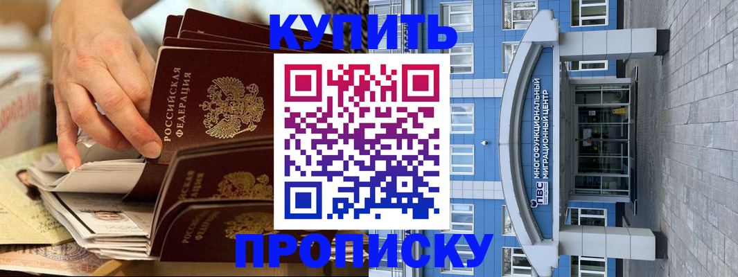 прописка гарантия в Стародубе